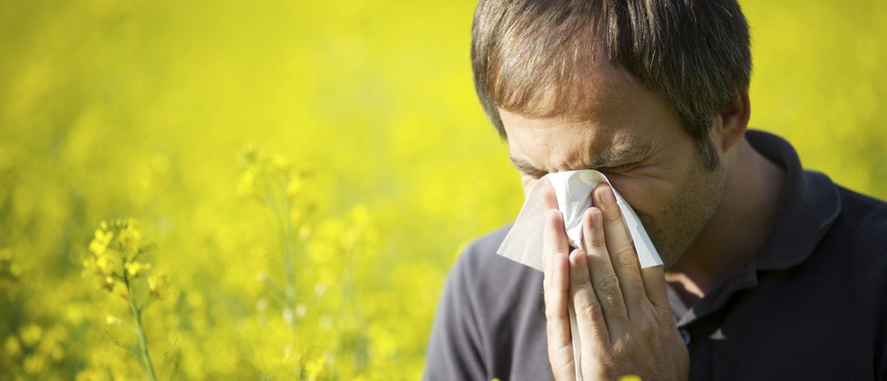 Do you get seasonal allergies?