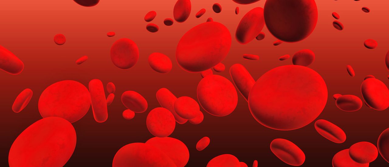 Does “blood cancer” exist?