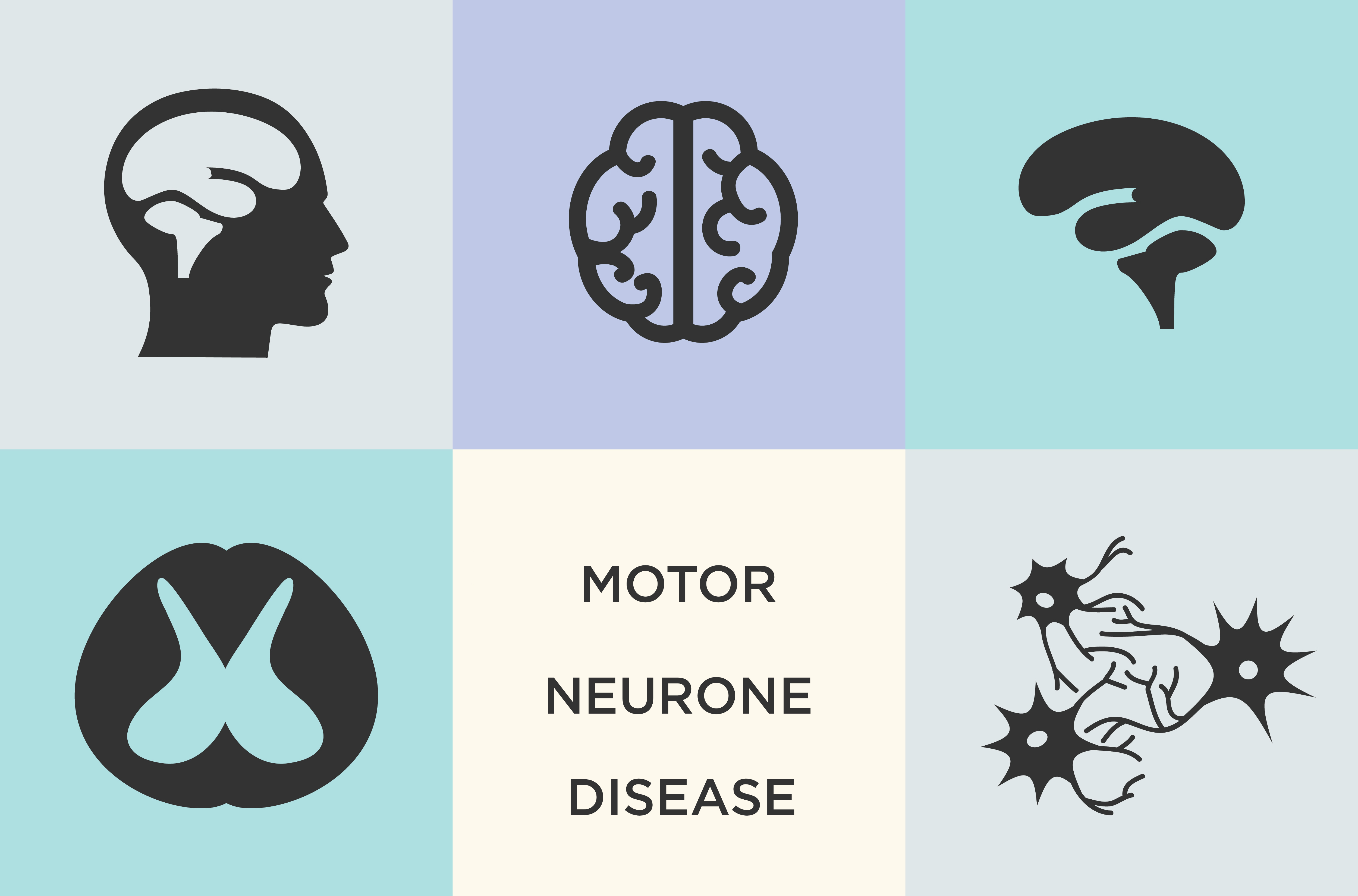 What is Motor Neurone Disease (MND) ?