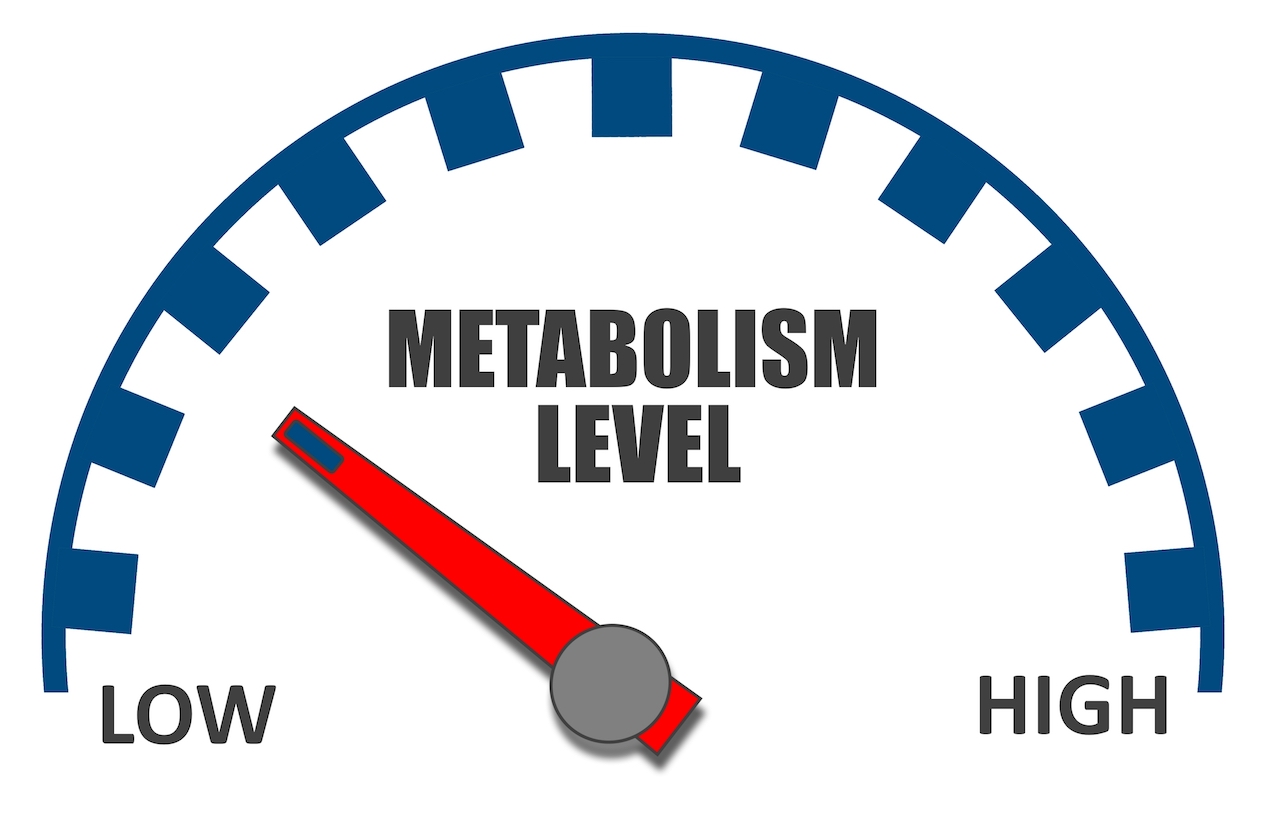 The best ways to boost your metabolism