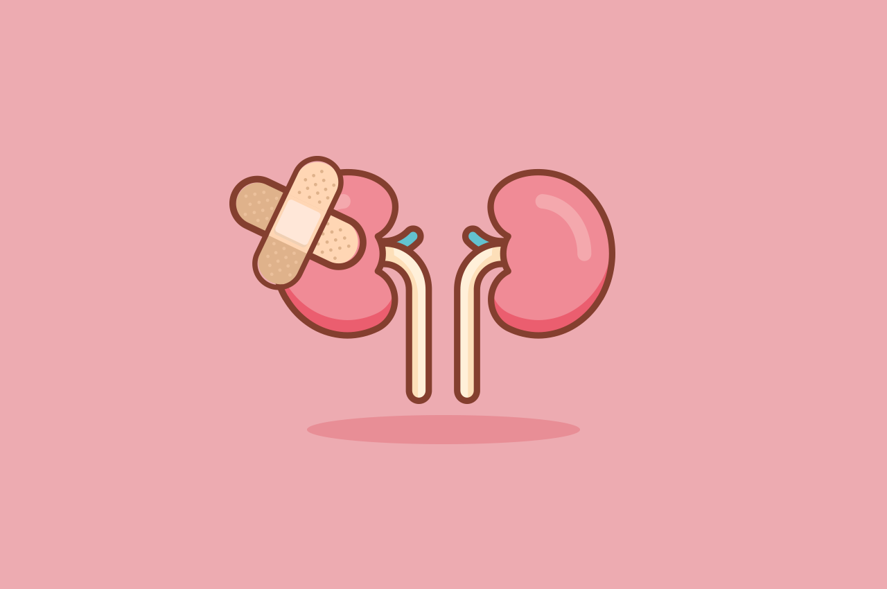 How to know if you have injured a kidney