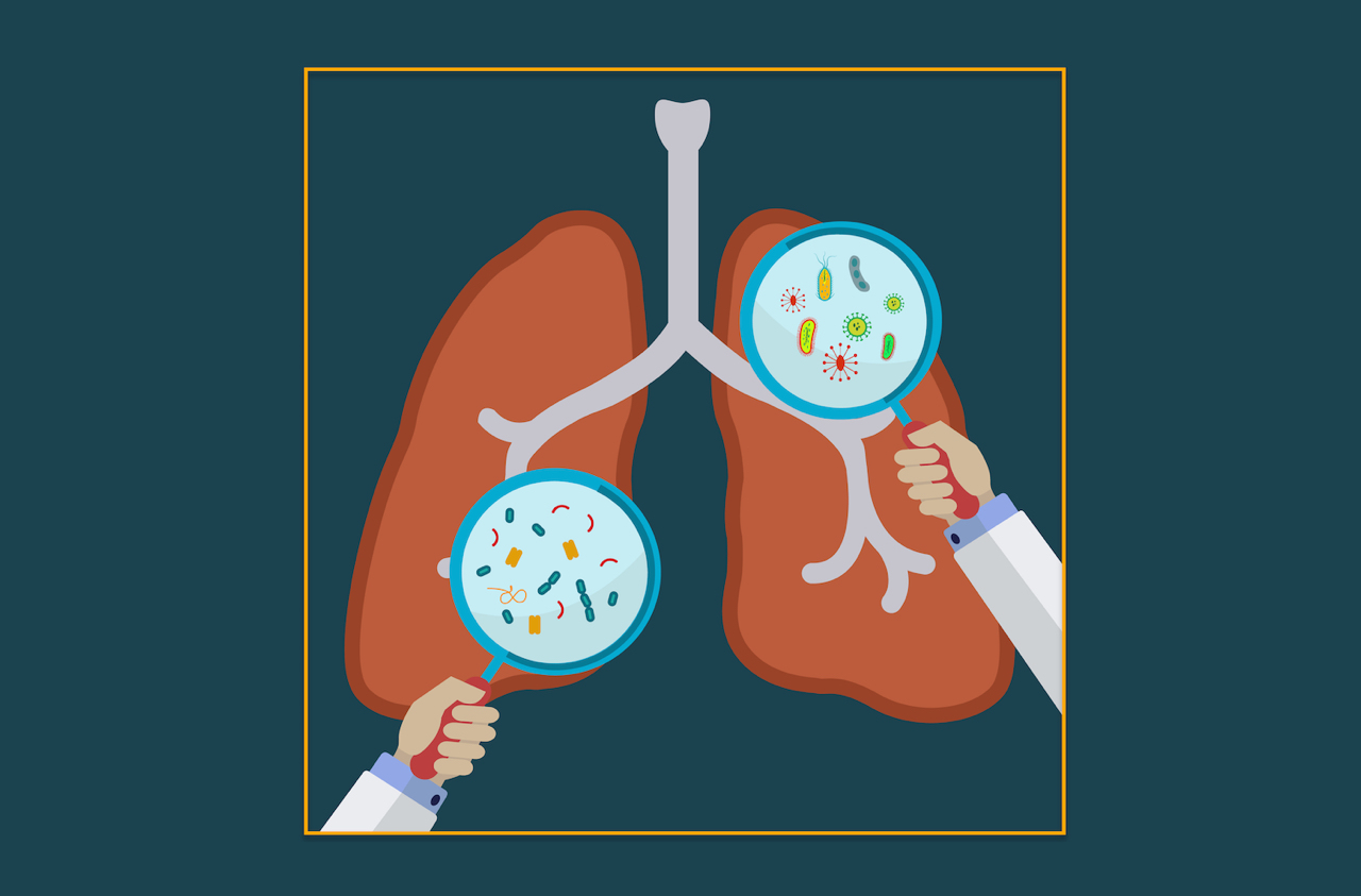 The differences between TB and pneumonia